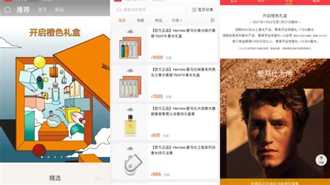 hermes hauled|Hermès Has Joined Alibaba’s Tmall, Quietly .